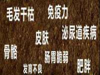 广州慧娴科技有限公司