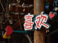 广州慧娴科技有限公司